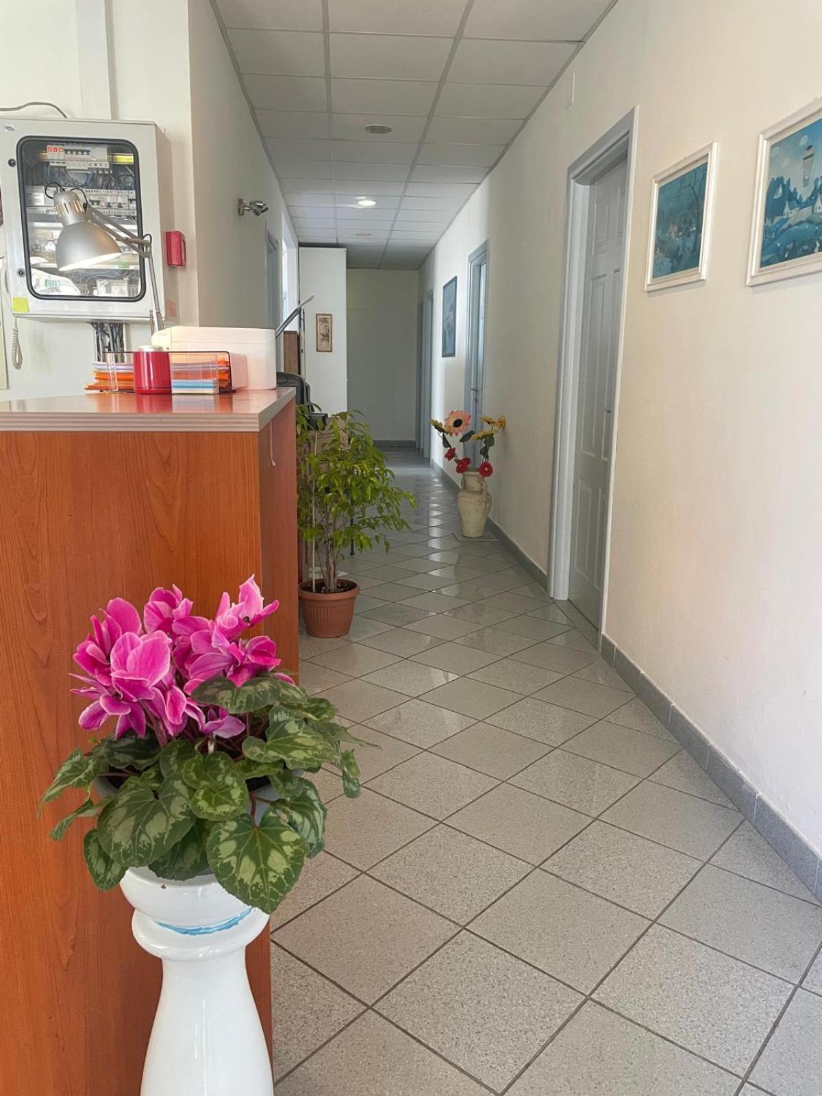 Girasole House Ξενοδοχείο Φλωρεντία Εξωτερικό φωτογραφία